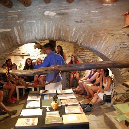 Cyclades Olive Museum'S Guest House Pitrofos Екстер'єр фото