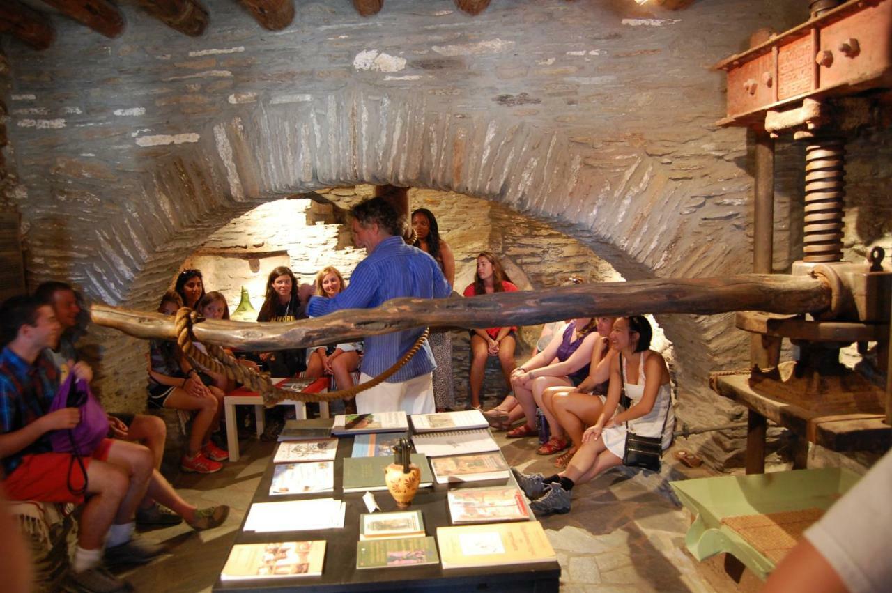 Cyclades Olive Museum'S Guest House Pitrofos Екстер'єр фото